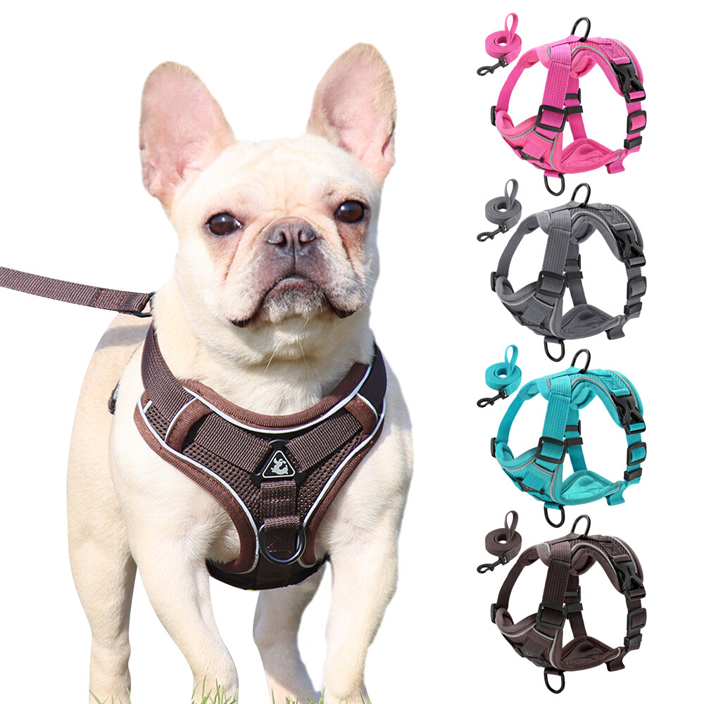 Reflective Dog Cat Harness and Leash Set Mesh Nylon Dog Vest
