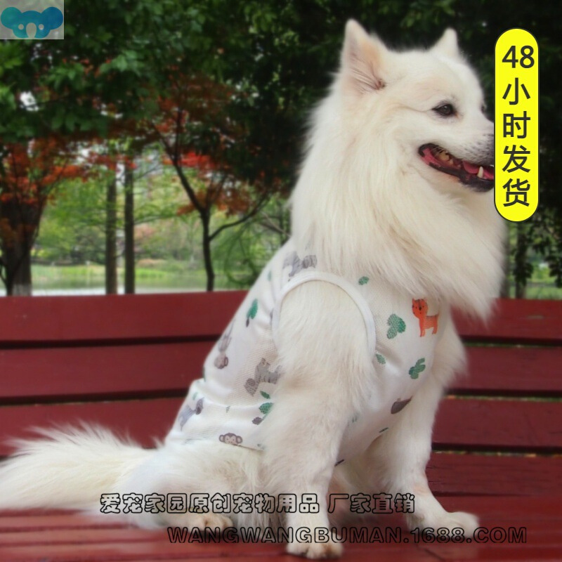 Dog clothes golden vest Samoyed husky border collie狗狗衣服1