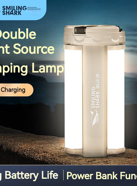 Multifunctional outdoor lighting camping atmosphere light