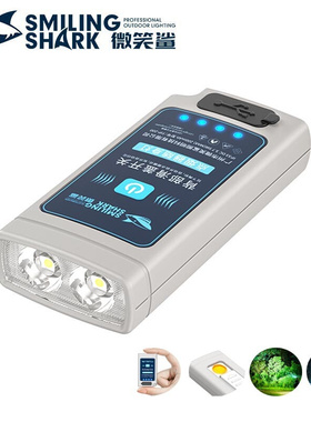 Outdoor portable flashlight with cigarette lighter function