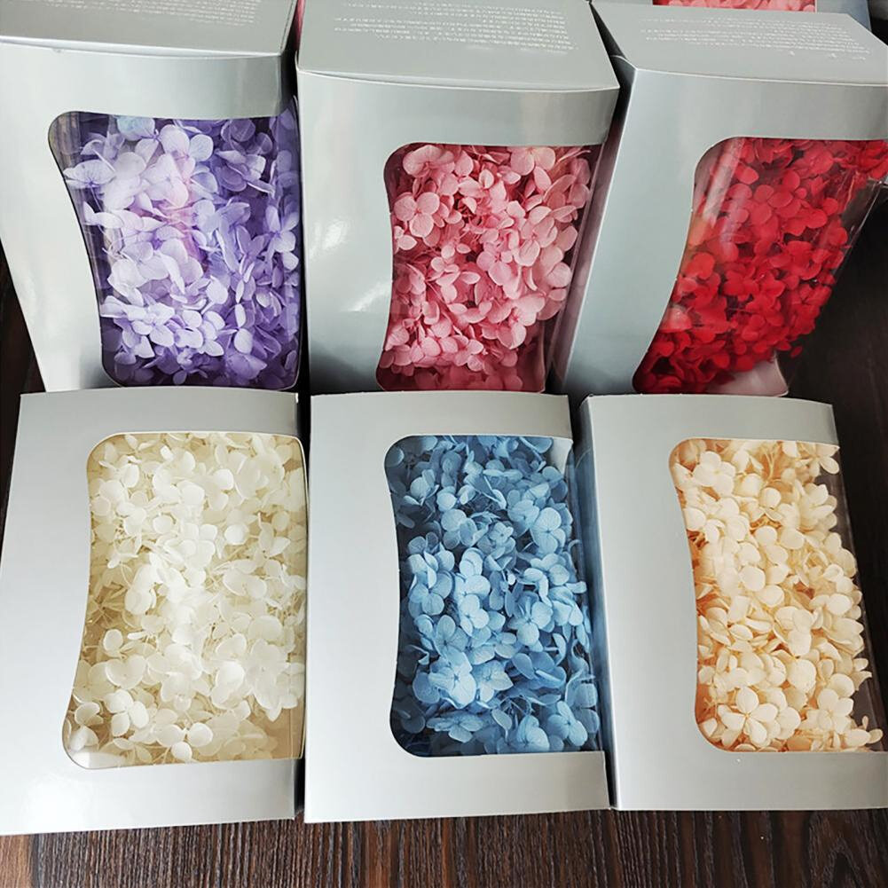 20g Dried Hydrangea Flowers Jewelry Making Pressed Flowers