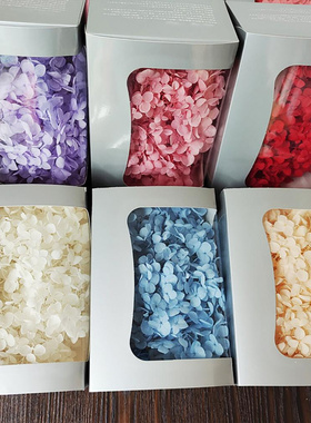 20g Dried Hydrangea Flowers Jewelry Making Pressed Flowers