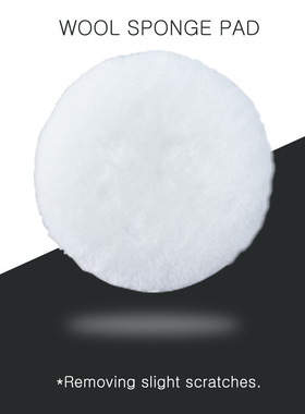 3Pcs/Lot Polish Sponge Pad For Polisher Professional Washab