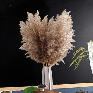 15pcs Pampas Grass Dried Flowers Bouquet Wedding Party
