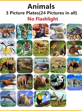 Replacement Pictures Plates (Flashlight is not included)