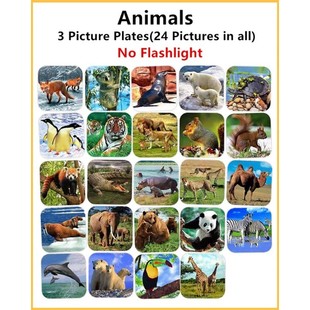 Replacement Pictures Plates (Flashlight is not included)