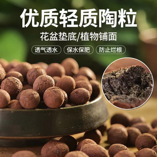 养花陶粒球花盆垫底园艺专用陶土颗粒水培无土栽培多肉种植铺面石