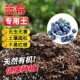 蓝莓基质专用土养花种菜通用花土有机花卉育苗泥炭发酵通用肥料土
