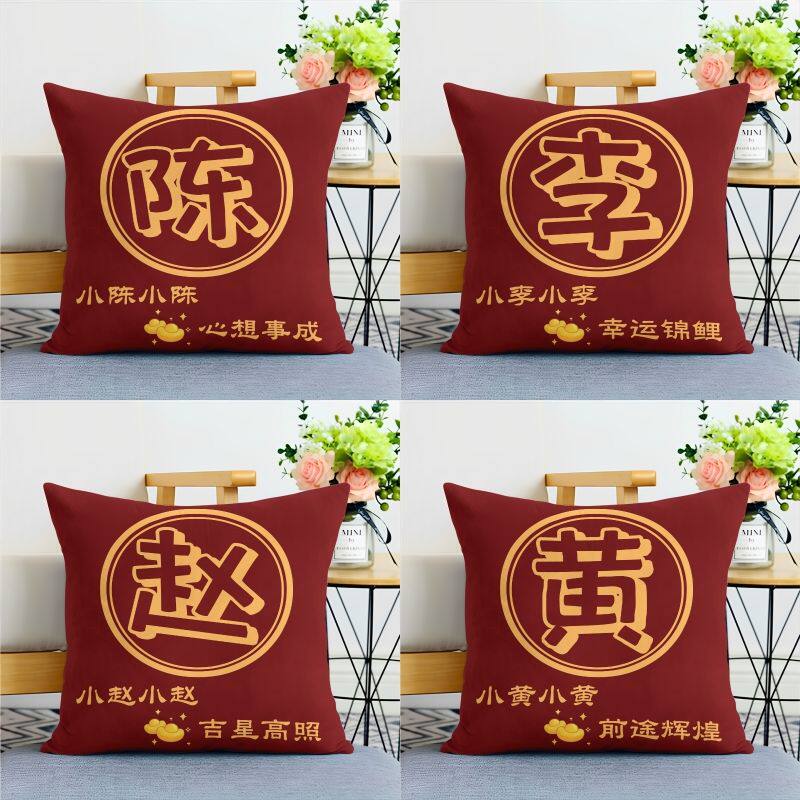 创意DIY姓氏抱枕百家姓趣味文字靠枕客厅沙发靠垫套定制生日礼物