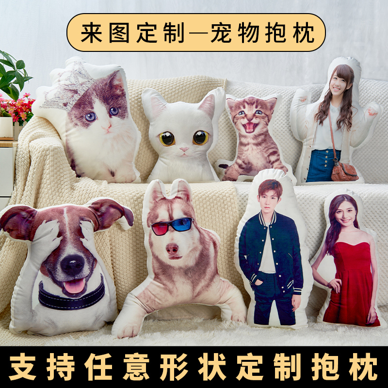 定制抱枕3d照片定做宠物枕头猫咪异形来图礼物可印靠枕