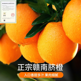 当季 赣州直发 脐橙手剥橙新鲜孕妇水果 包邮 江西赣南脐橙20省