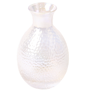 中式幻彩锤纹玻璃青梅子酒杯女生米果酒女士甜酒少女微醺酒壶酒具