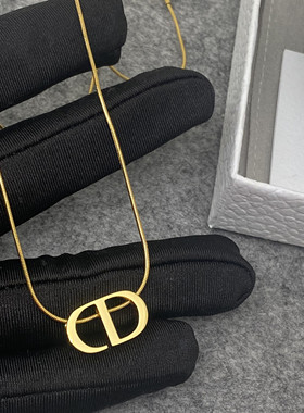 2025年新款CD字母个性极简风项链气质轻奢网红爆款百搭锁骨链女