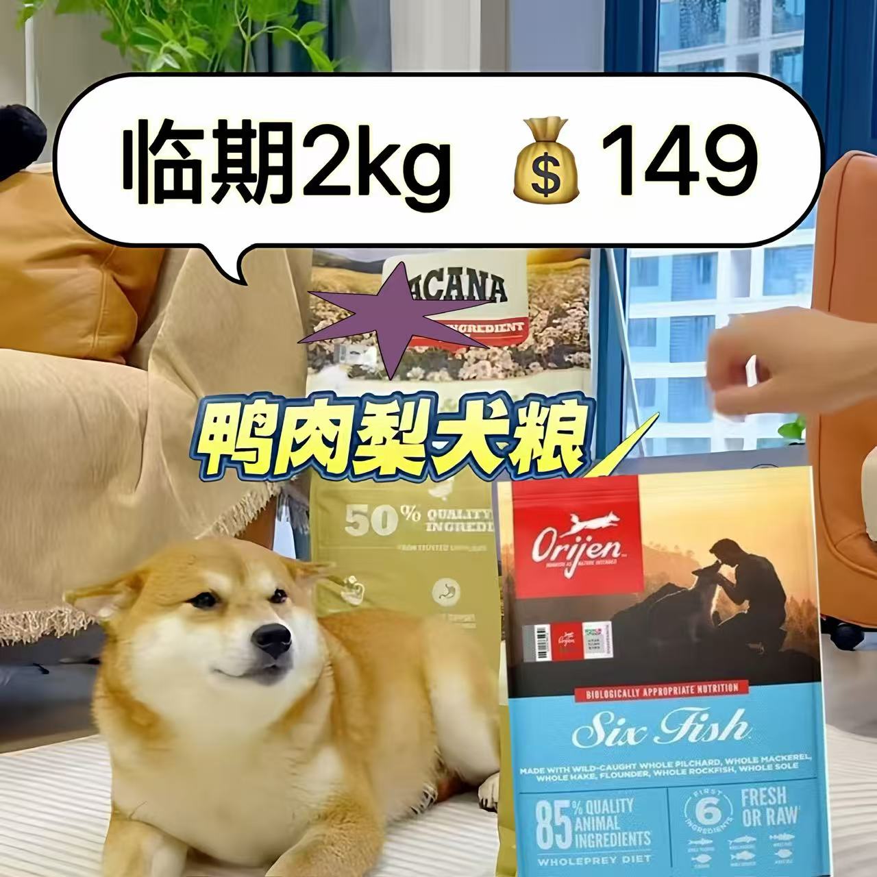 临期爱肯拿】Acana爱肯拿进狗全价膨化粮