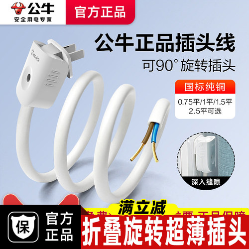 公牛国标电源接线家用纯铜2芯电缆铜芯护套线电源线带插头连接线