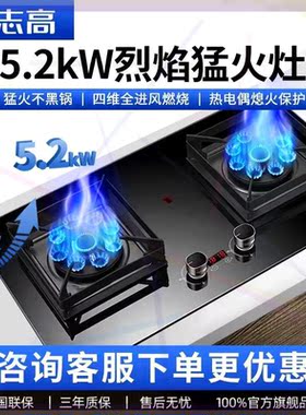 燃气灶猛火双灶煤气灶天然气灶液化气大火台式嵌入式JZT-BZ