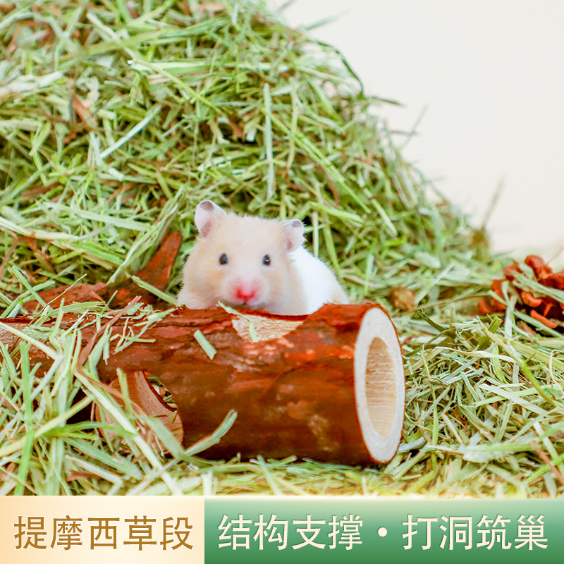 花枝鼠除臭木屑玉米芯提摩西草段