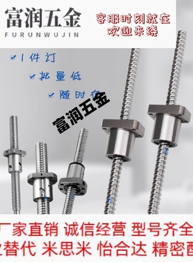 滚珠丝杠杆BSSR BSSRK BSSE1505 1510 2005 2010 2020 2505 2525