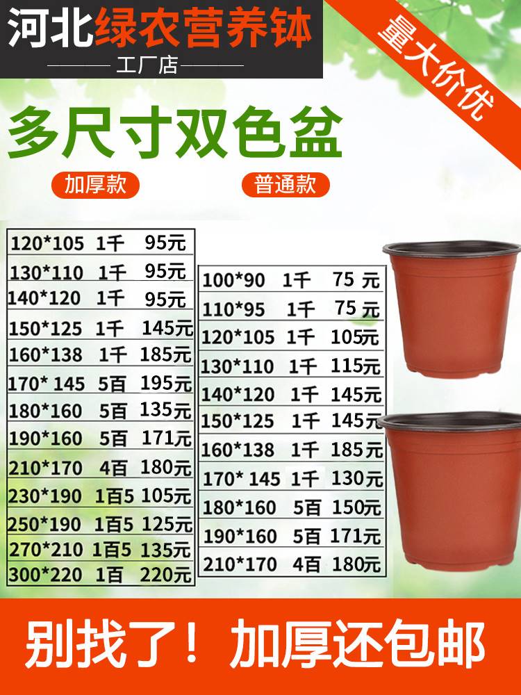 双色盆育苗盆加厚一次性简易花盆塑料大号多肉扦插盆营养杯育苗杯