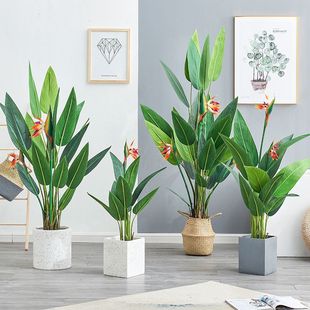 鹤望兰仿真植物大型假绿植仿真室内客厅假花仿真花天堂鸟盆栽摆件