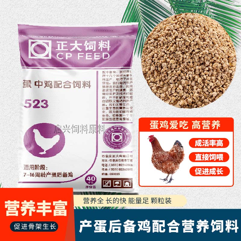正大鸡饲料青年蛋鸡营养高长得快