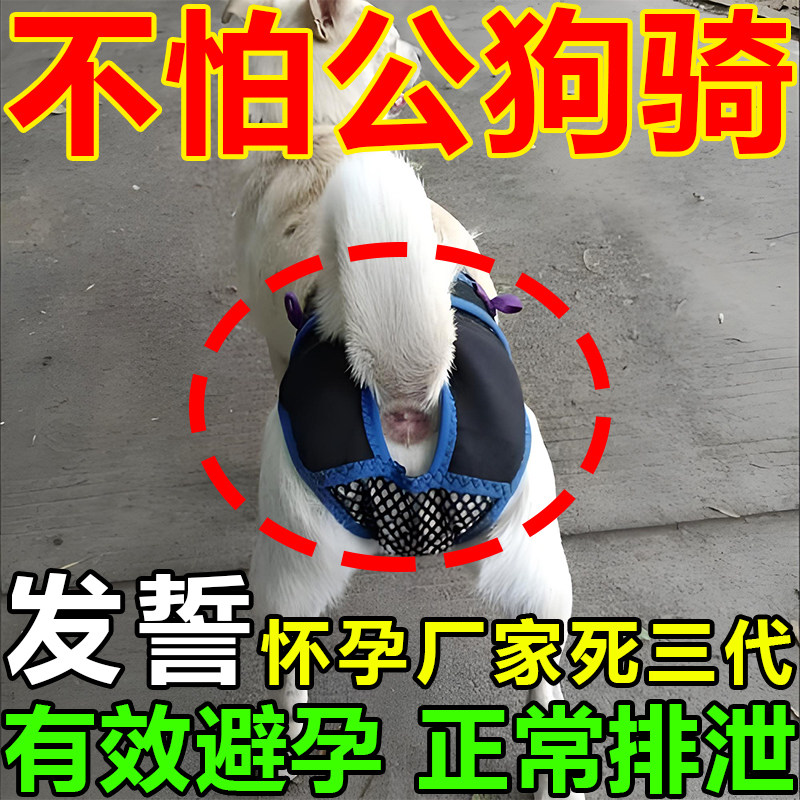 狗狗避孕裤可排泄裤防狗发情骚扰裤防交配裤生理裤母狗防交配神器