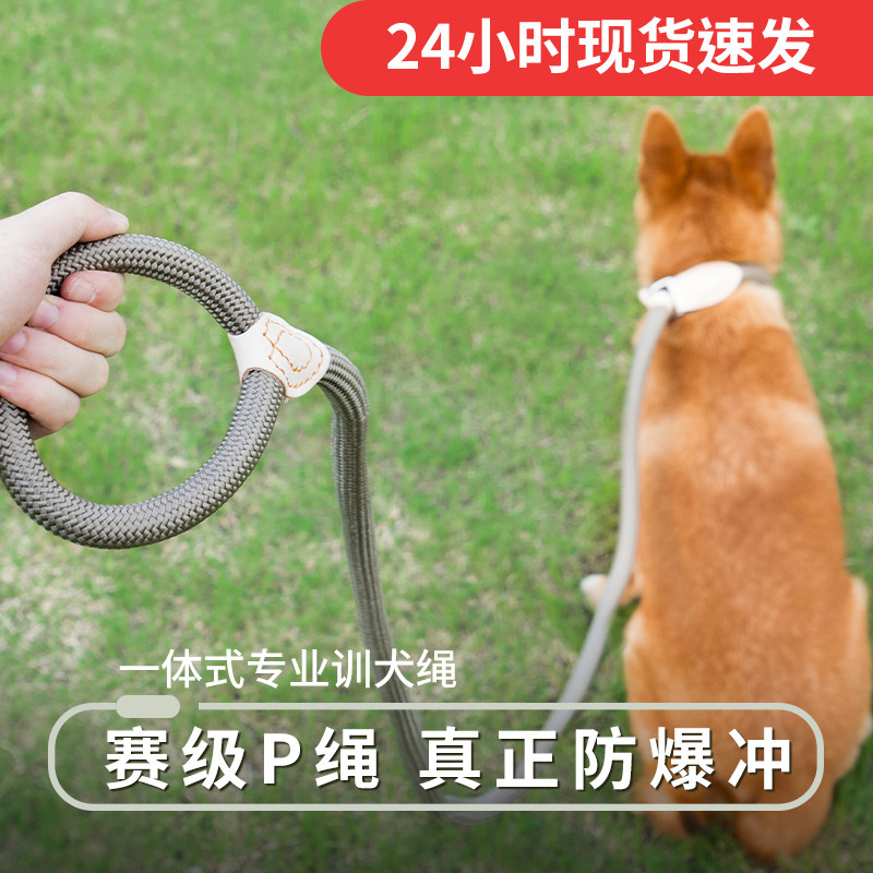 速发链爆冲P防遛型绳子防挣脱狗链子中大狗犬防爆冲拴狗绳