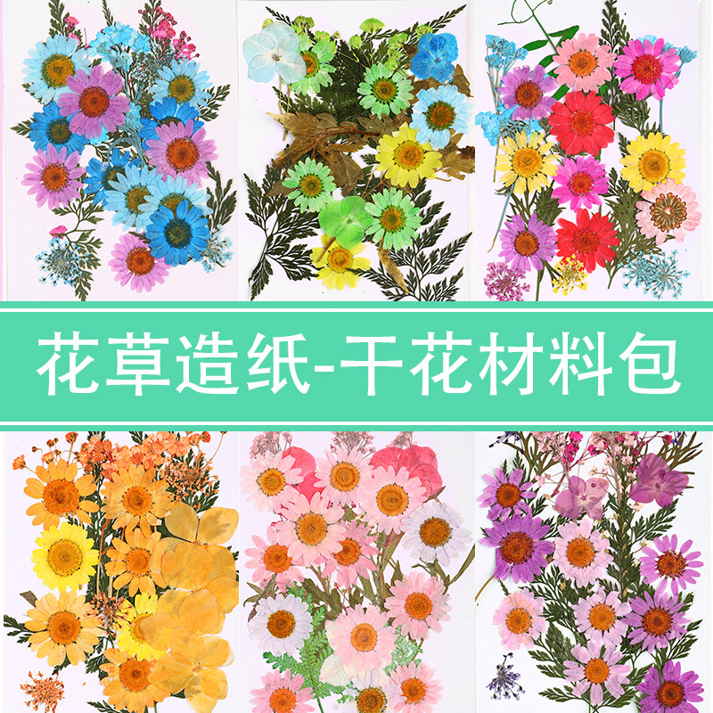 速发压手古法造纸术干花材料包幼儿园儿童花物花草真花植工标本