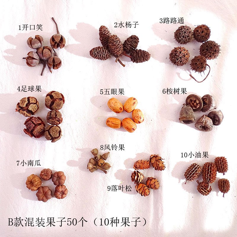 速发干花干果组合套装幼松园手工花料包儿果橡果干材摆件拍照道具