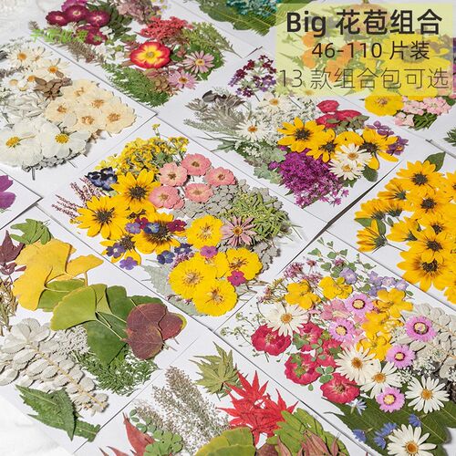 速发真植物干花树枝叶材滴合材料包亲子手工混胶压花贴画标本子料