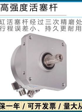 费斯托FESTO旋转摆动气缸DSM-12-16-25-32-40-63-270-P-A-B-CC-FW