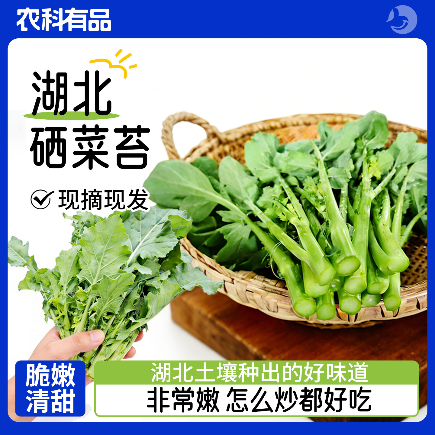 中国农科院研发湖北硒菜苔新鲜嫩叶现摘现发顺丰发货蔬菜沙拉,水产肉类/新鲜蔬果/熟食,叶菜类,淘宝优惠券,粉丝福利购,淘宝优惠卷