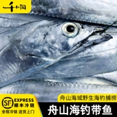舟山海钓带鱼整条钓带油带小眼睛东海新鲜鲜活冷冻刀鱼海鲜深海鱼