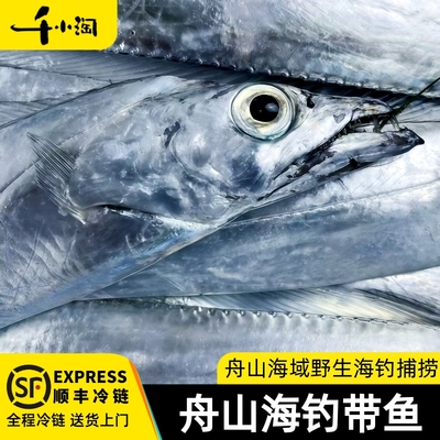 海钓带鱼东海捕捞肉质细嫩