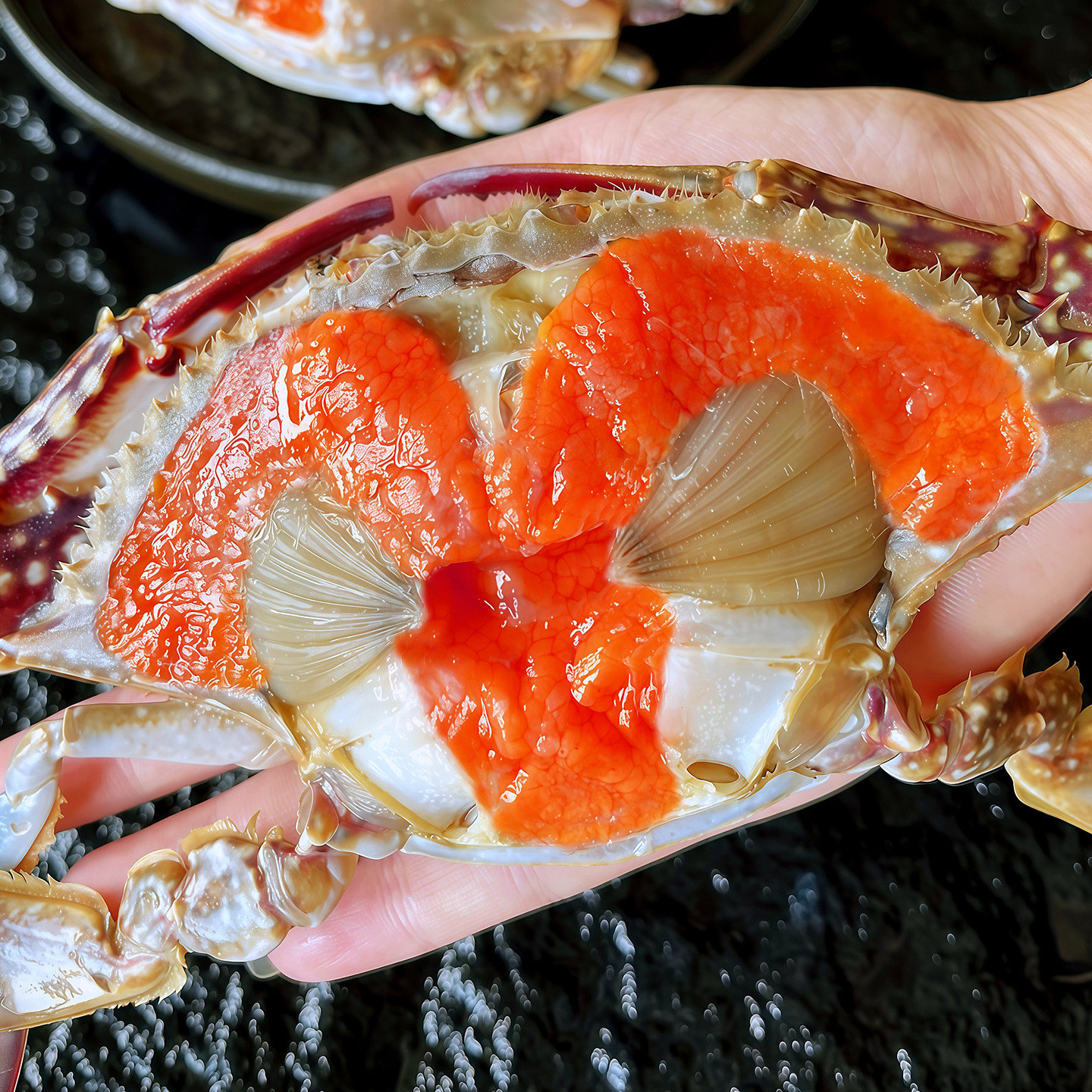 舟山红膏呛蟹咸蟹酱母蟹即食海鲜水产梭子蟹整只生腌螃蟹海蟹醉蟹