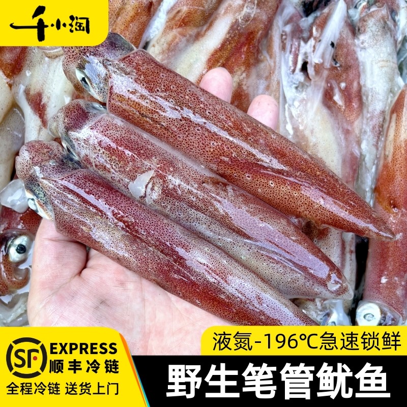 笔管野生海捕鲜活船东