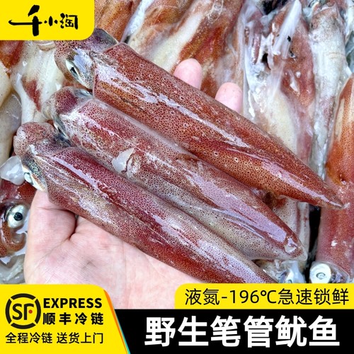 笔管野生海捕鲜活船东