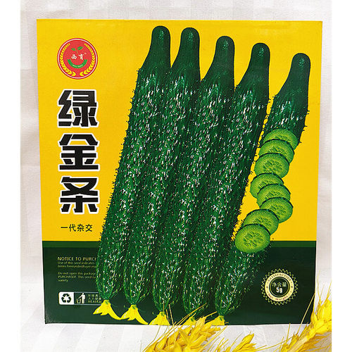 东北蔬菜刺黄瓜种子春季绿金条绿瓤水黄瓜种籽耐高温5克小园种植