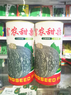 蔬菜种子甜面甜栗南瓜种子东北窝瓜籽甜栗倭瓜大面积种植250克