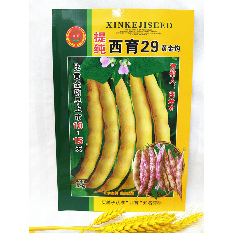 东北蔬菜种子东北豆角种子提纯西育29黄金钩菜园露天早熟种子大地
