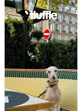 Fluffle意大利双层小牛皮米棕色宠物项圈可拆卸双层设计狗狗项圈