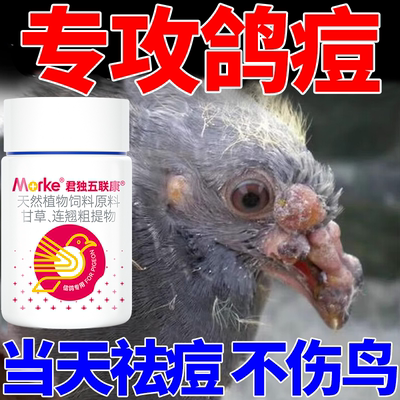 鸽痘专用特校药治鸽子长鸽痘
