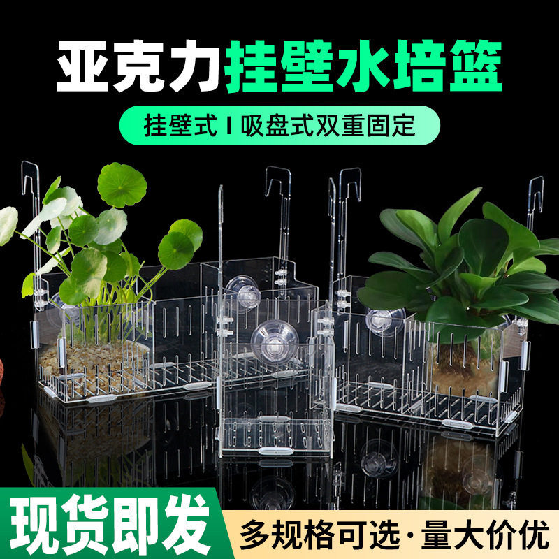 透明亚克力鱼缸水培植物固定架壁挂水培器皿定植篮悬挂花盆种植盒