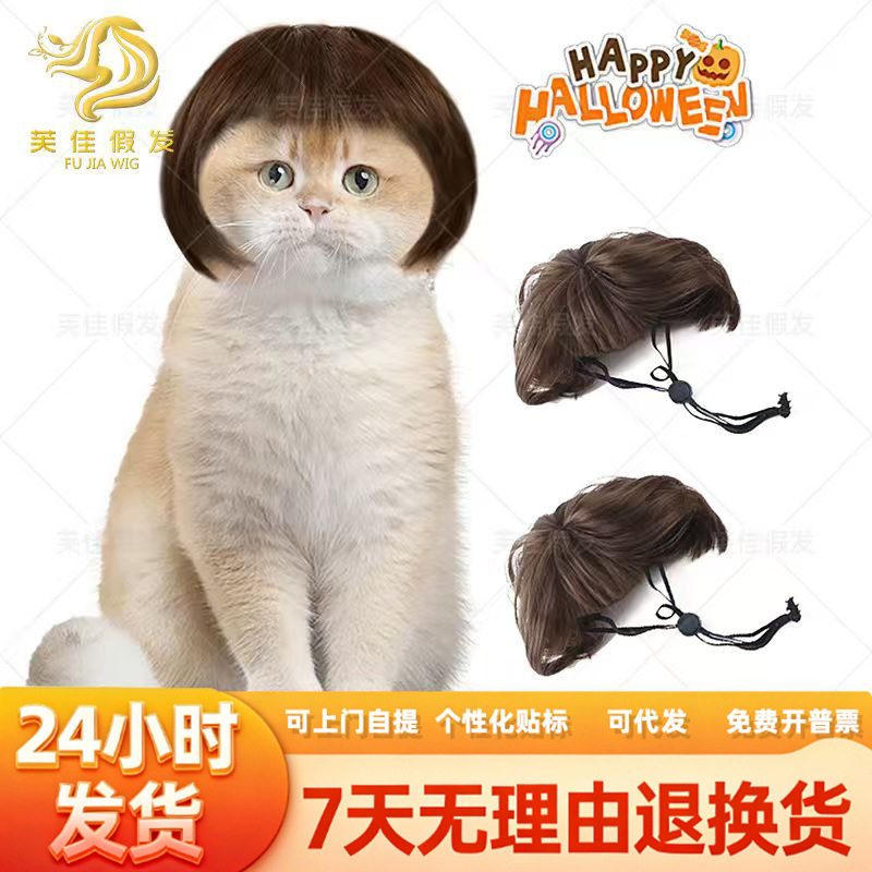 跨境宠物假发猫狗头饰齐刘海波波头节日道具饰品搞怪搞笑发饰