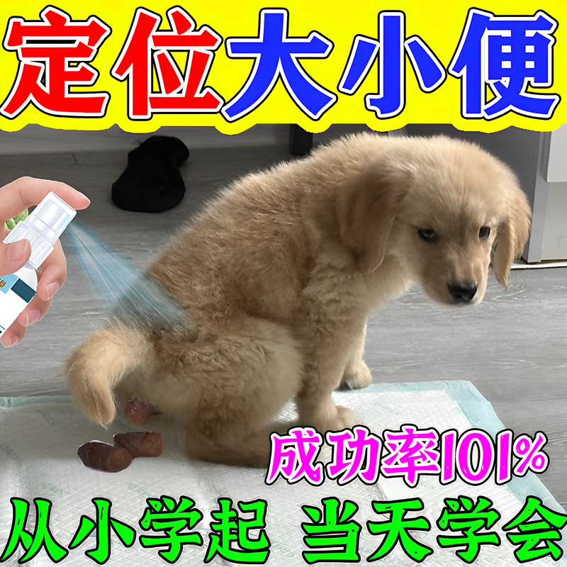 【当天学会】狗狗定点排便神器上厕所诱导剂狗大小便狗训练不乱拉