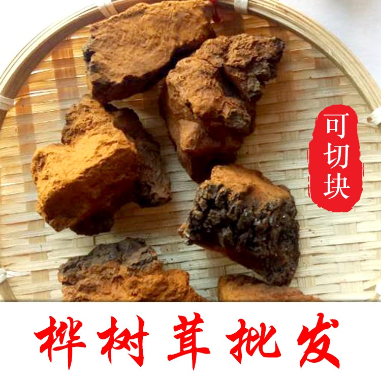 厂家大块白桦茸 包邮食用菌类桦树茸低价可切块