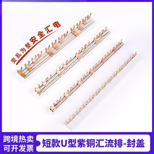 短款 配電箱斷路器 U型匯流排帶封蓋封閉12齒63A斷流器