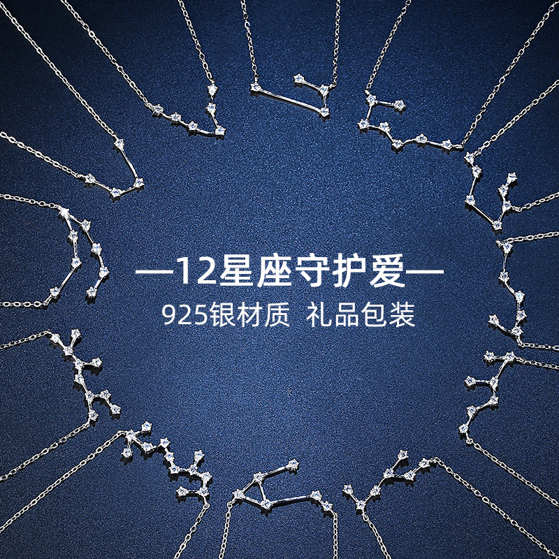 【多款可选】小众时尚十二星座锁骨项链