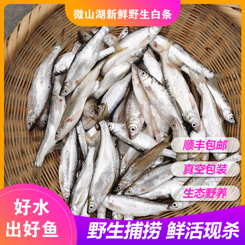 微山湖小白条鱼刁子翘嘴净膛顺丰