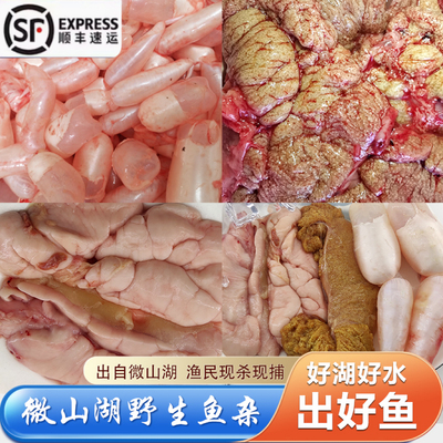 微山湖鲤鱼鱼杂鱼籽鱼泡鱼白包鲜